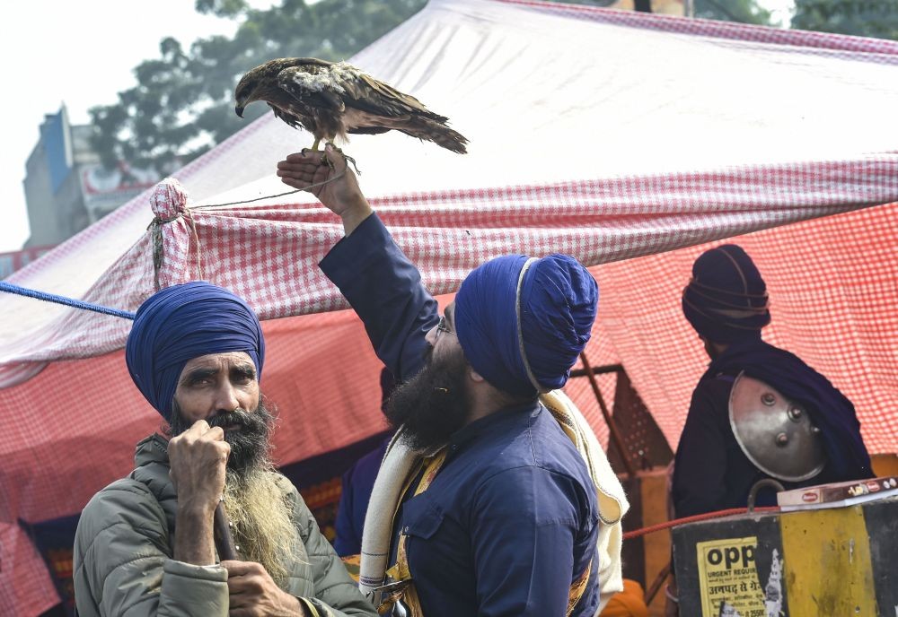 New Delhi: 'Nihang' or Sikh religious warriors hold a pet Kite bird during the nationwide strike, called by farmers to press for repeal of the Centre's Agri laws, at Singhu border in New Delhi, Tuesday, Dec. 8, 2020. (PTI Photo/Ravi Choudhary)